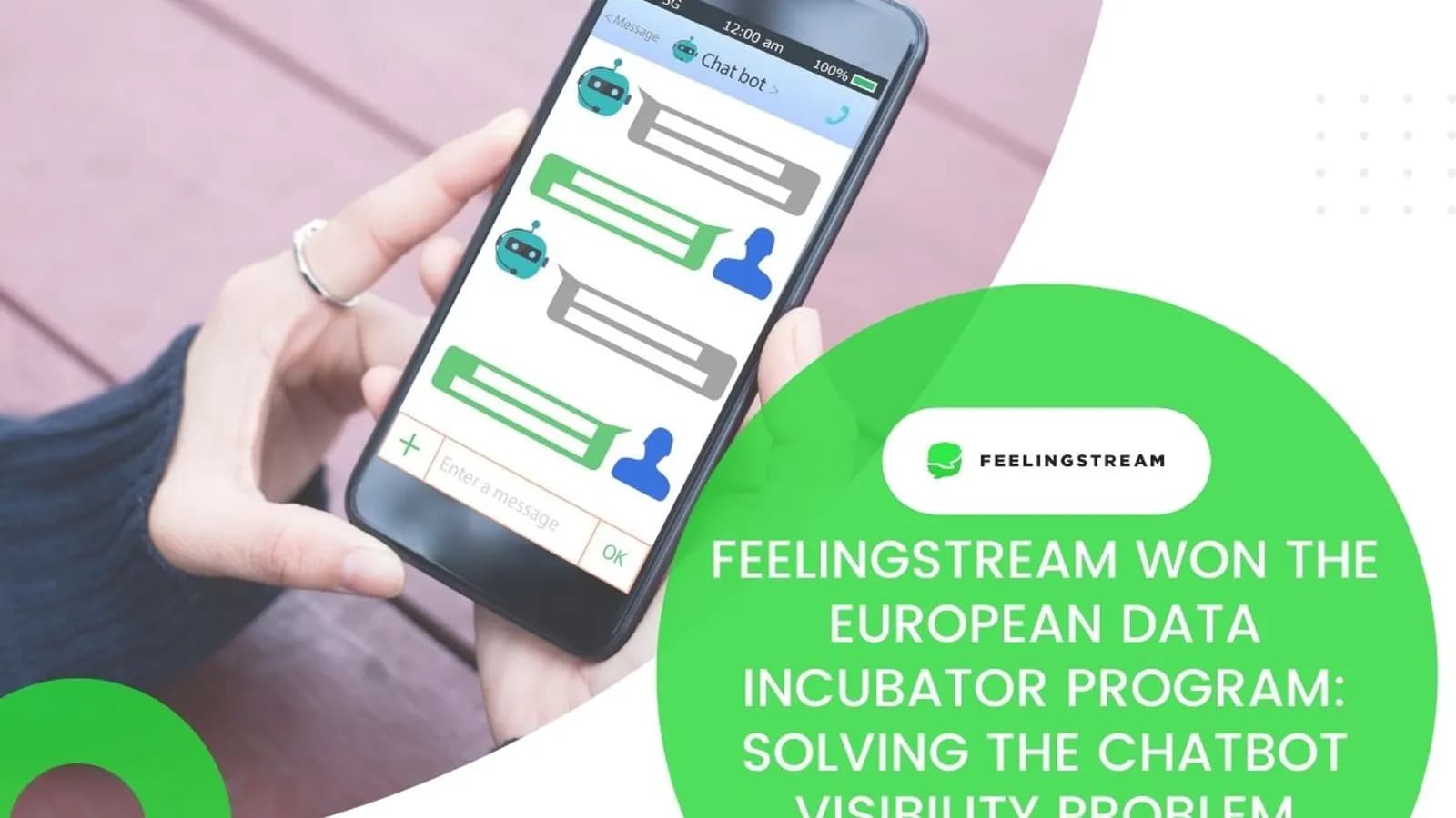 European Data Incubator win Feelingstream